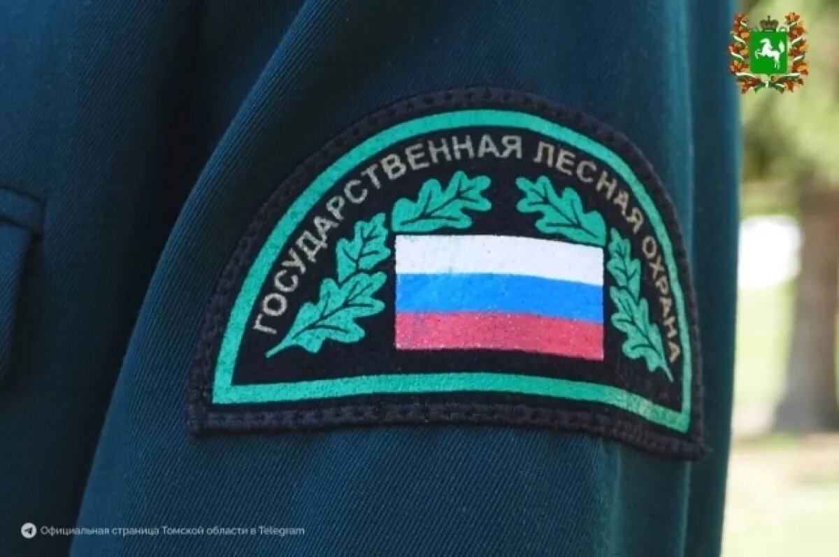    За прошлую неделю в Томской области не обнаружили ни одного лесного пожара