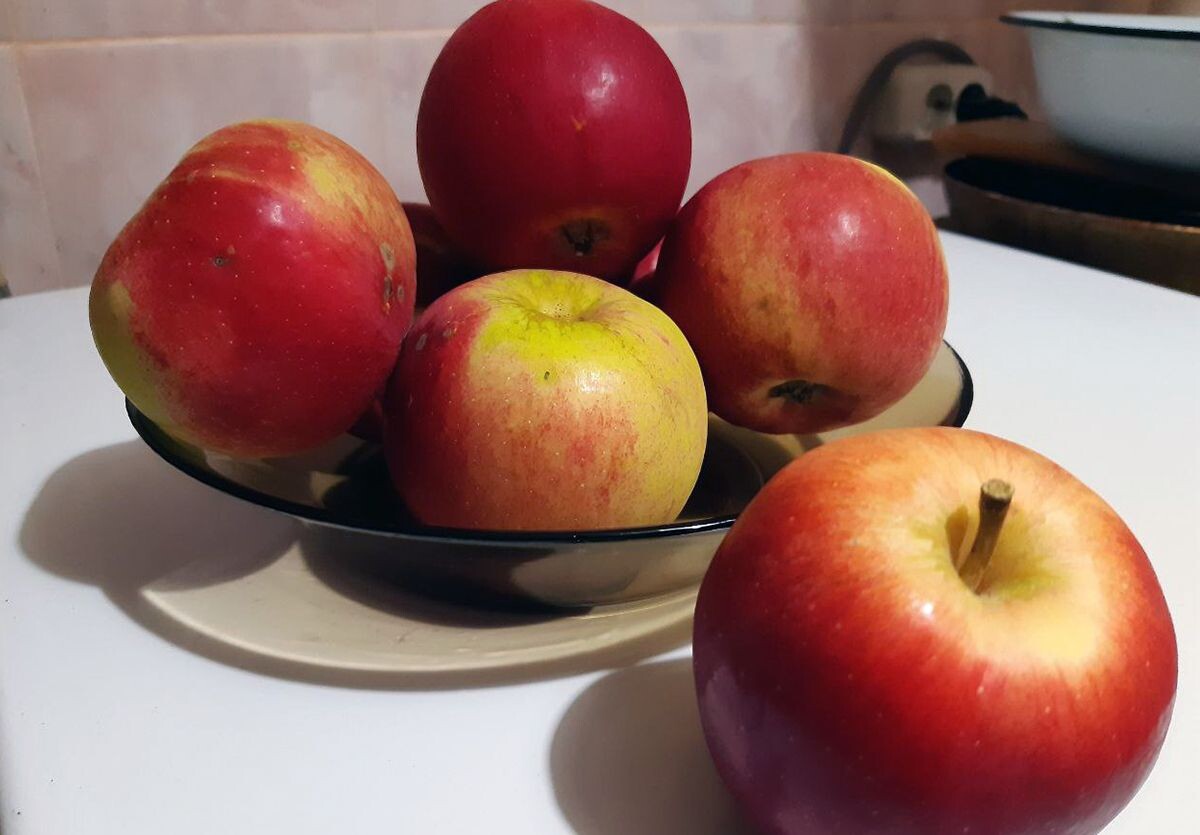 Фото: "Донская газета"