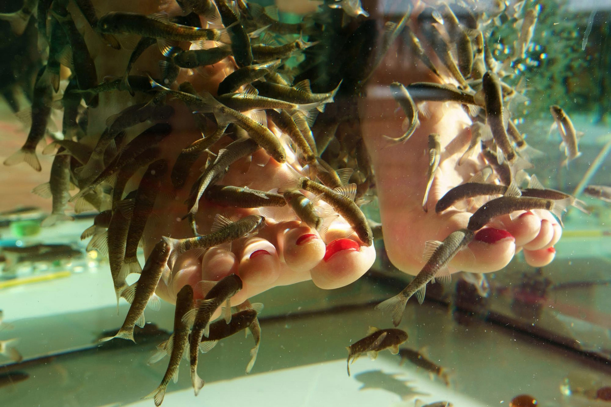 Фото: freepik.com  📷
