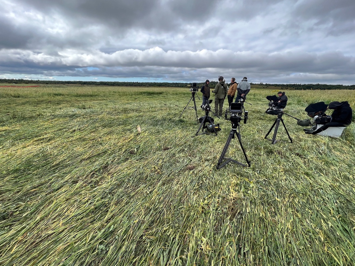    Фото: АО "Совхоз "Толвуйский"/ ВКонтакте