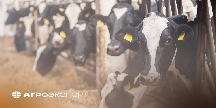    Фото: ФГБУ «Агроэкспорт»