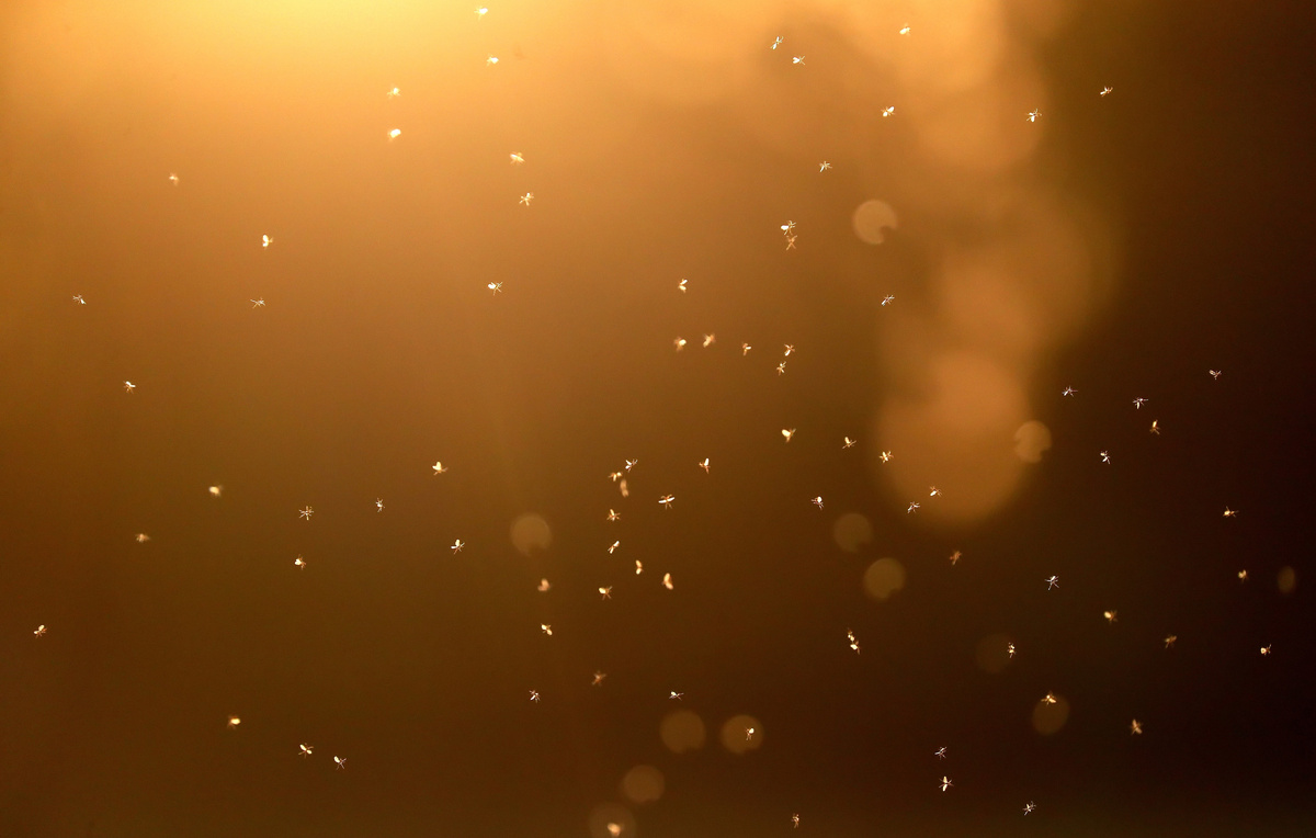 Владимир Смирнов/ТАСС