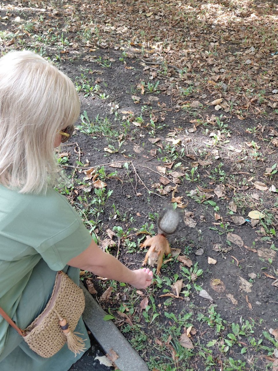  Белка ест из рук