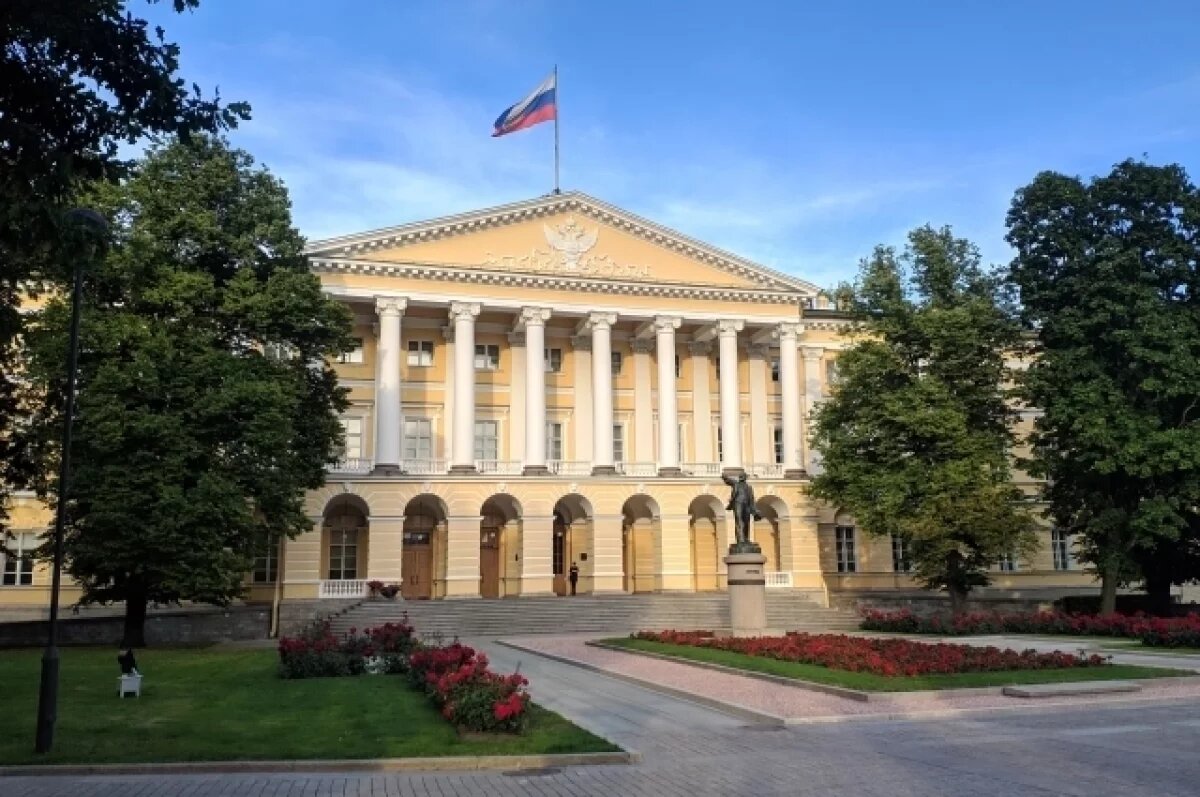    Петербуржец получил условный срок за лжеминирование Смольного