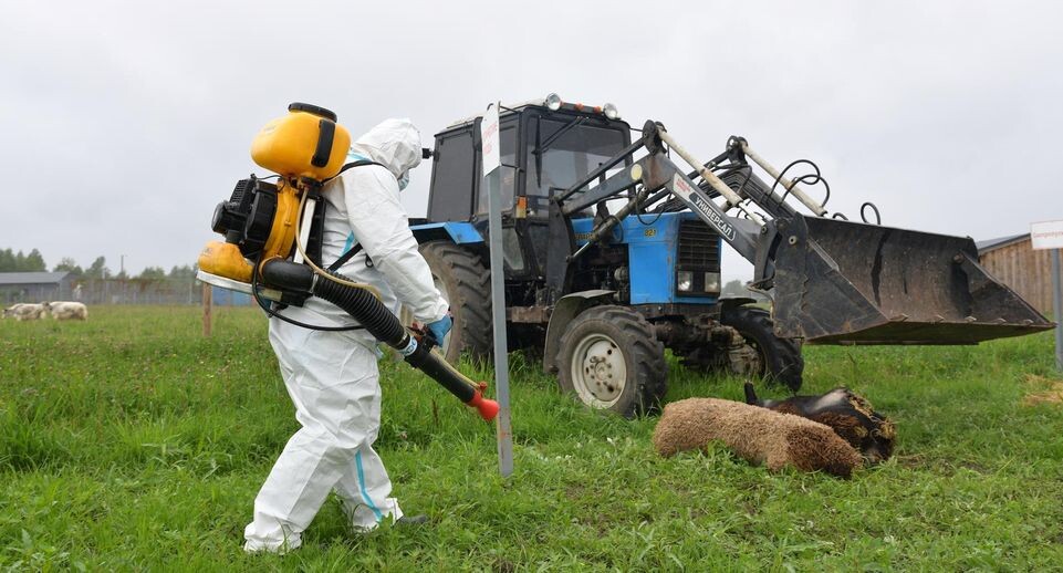    Администрация Дмитровского м.о.