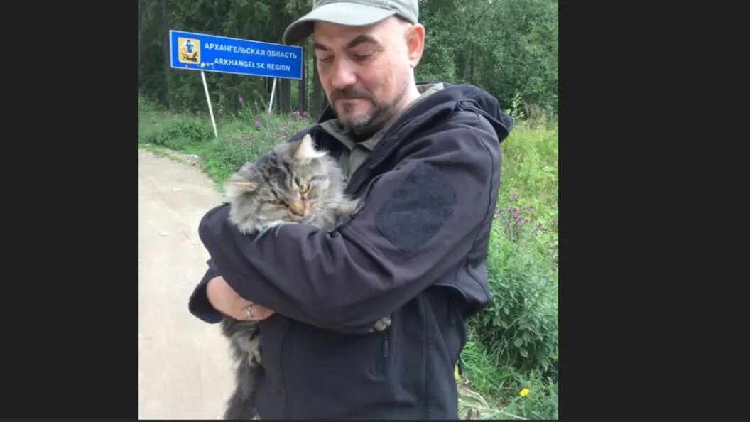    фото из ТГ-канала Дмитрия Стешина