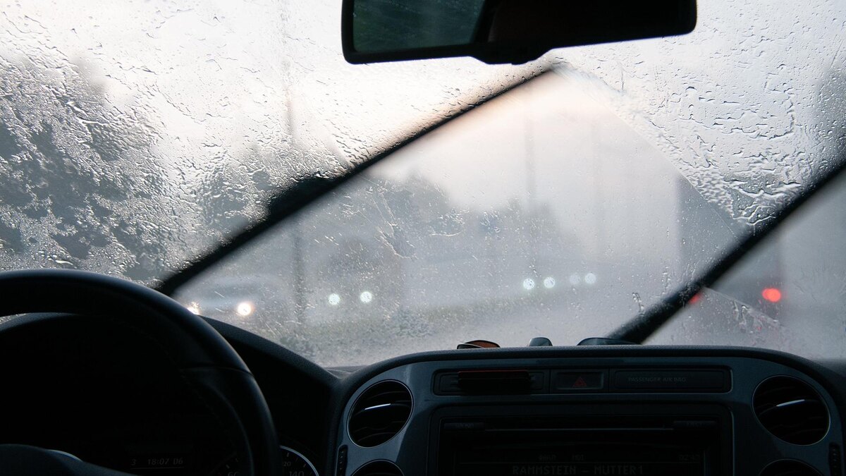    Фото: Svetlana Vozmilova/globallookpress.com