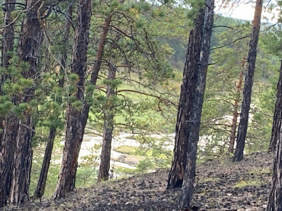 Видите? Это и было ледником ))