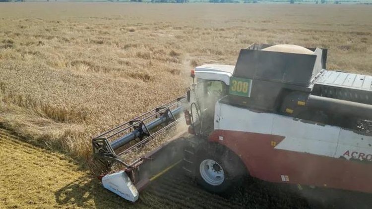    Фото: Минсельхоз Республики Башкортостан