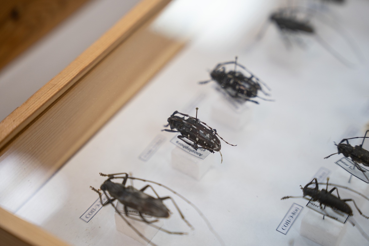 Фото: Александр Плонский / «Агроэксперт»