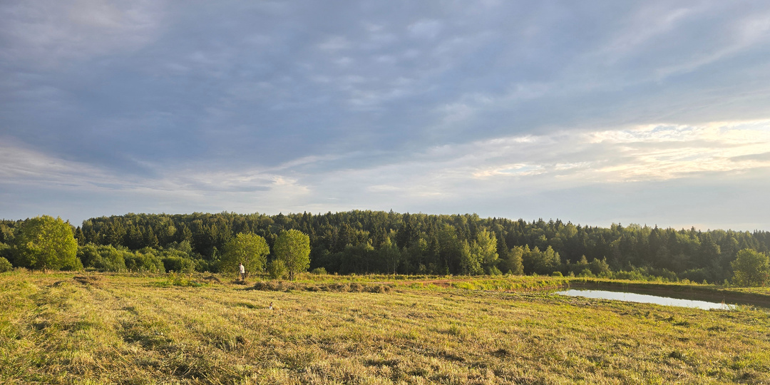 ПОЛЯНКА - ЗДОРОВОЕ ПРОСТРАНСТВО