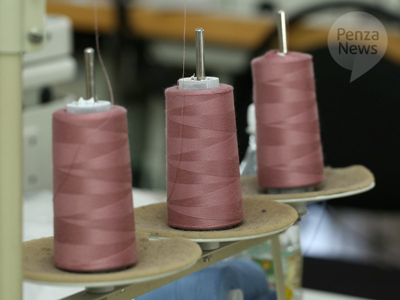    © Фото из архива ИА «PenzaNews»