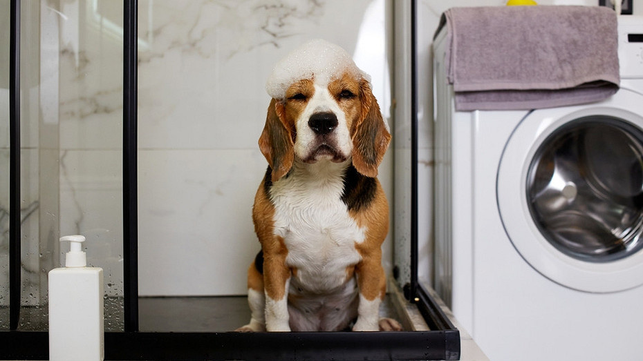 ShutterStock/Fotodom.ru