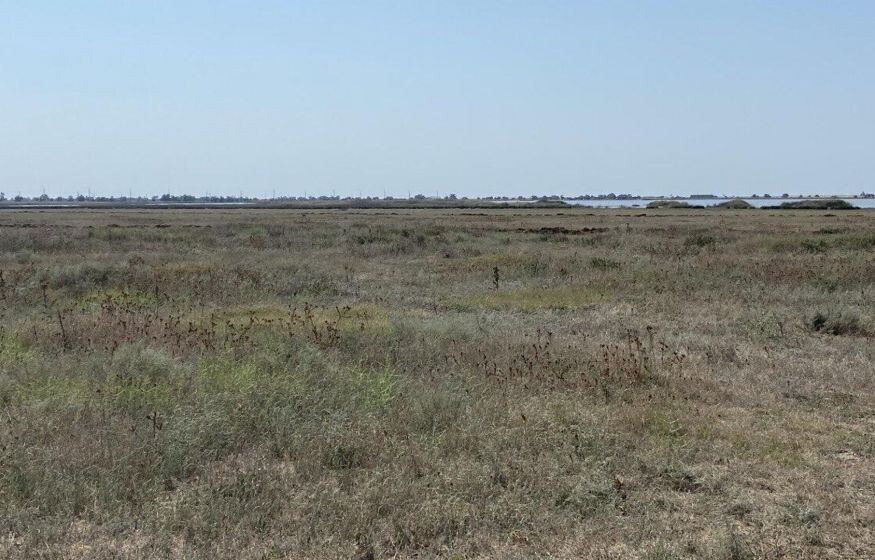    С осени землю будут изымать по новым причинам. Кому грозит штраф в 50 тысяч?