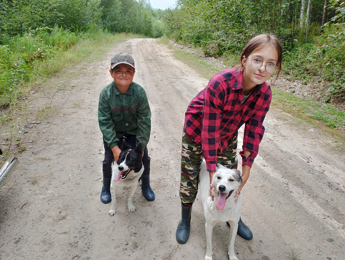 Фото 📷 автора. Собачки - сестрички,Юта и Гильза.