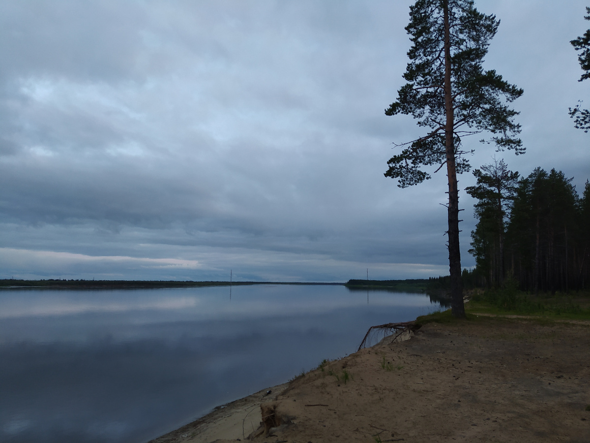 Берег реки Усы