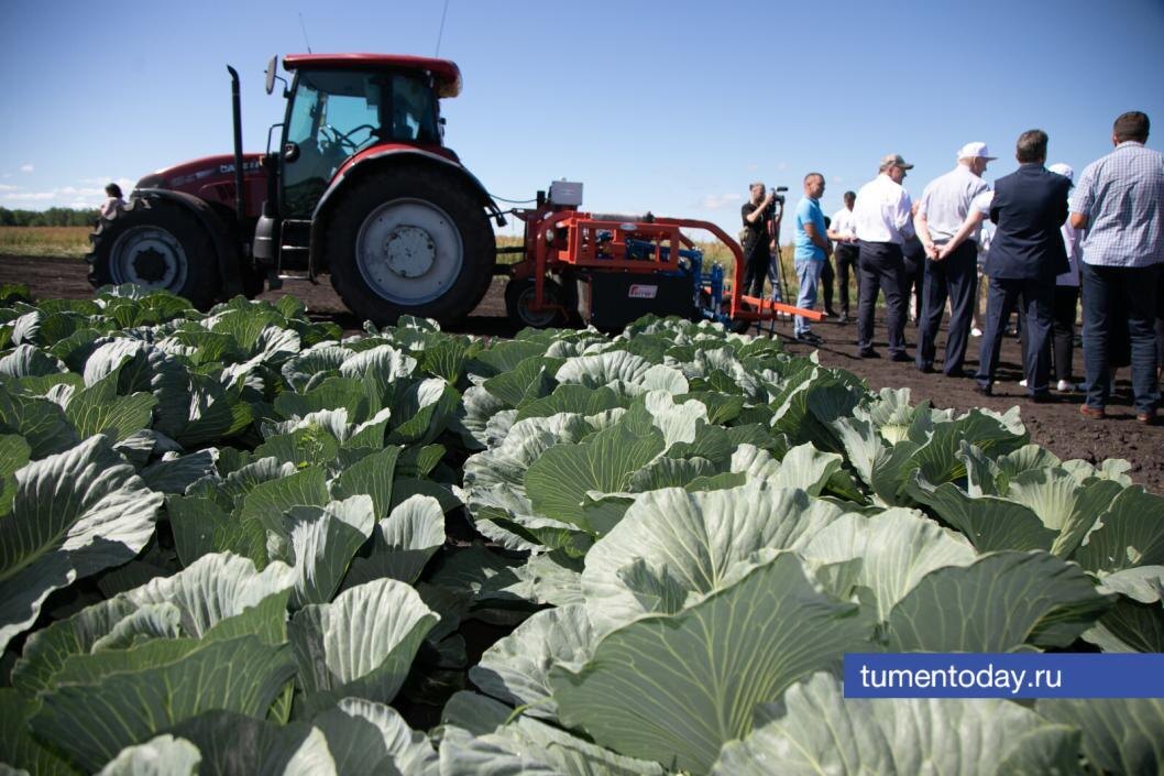  Фото Сергея Куликова