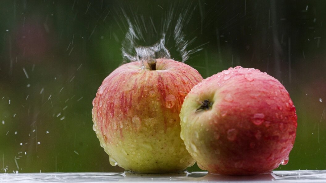    Andrey Titov/Business Online/Globallookpress