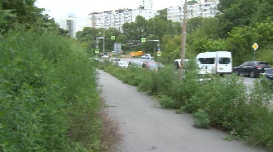    Источник фото: