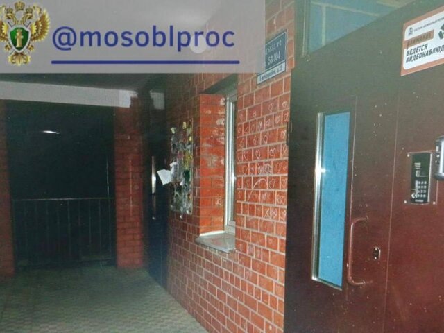    Фото: телеграм-канал "Прокуратура Московской области"