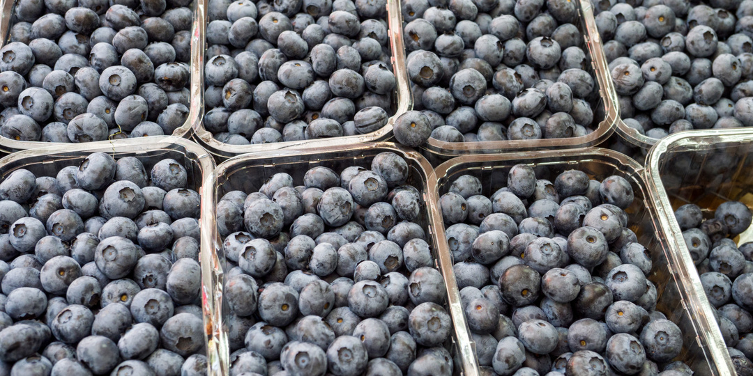 Почему голубика — это суперфуд?