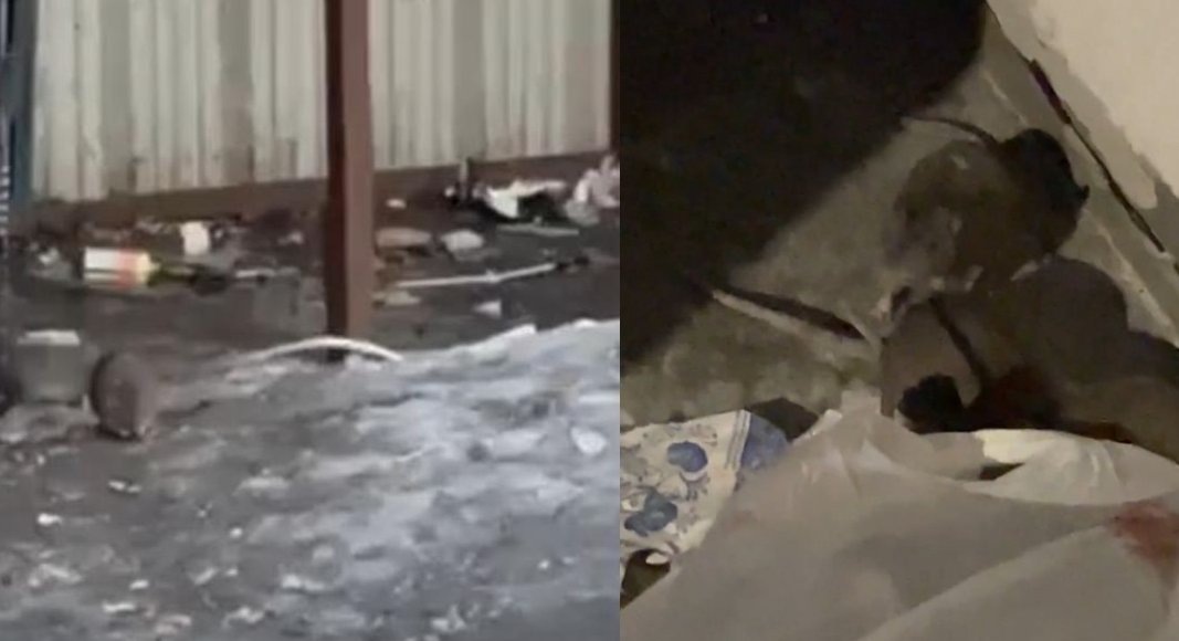    Фото: из чатов жителей Химок