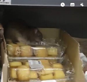    Фото: Левобережный (Химки)