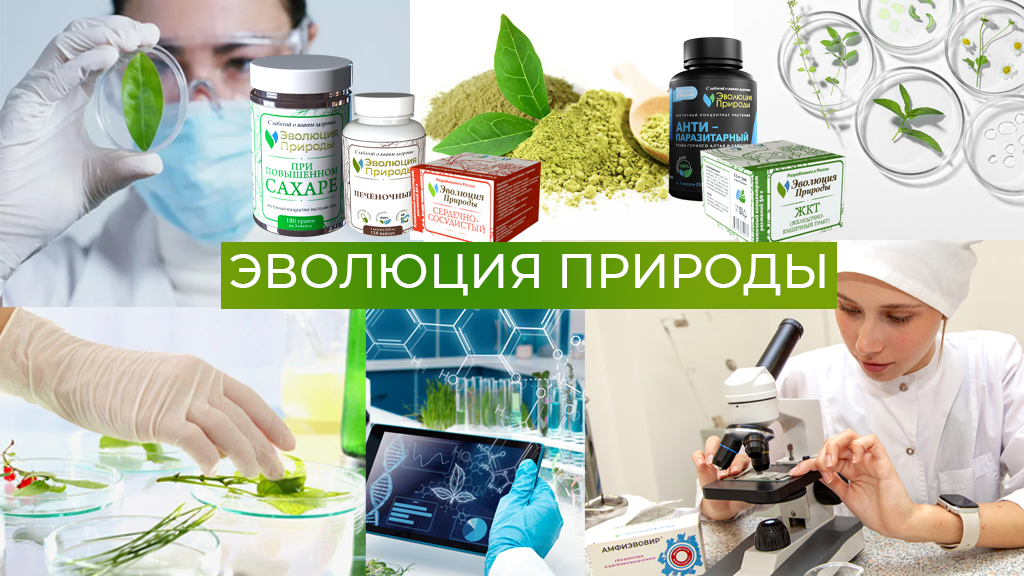 Новосибирская компания ООО «НПО Эволюция Природы», специализирующаяся на разработке и производстве натуральных препаратов на основе природных компонентов, получила сертификаты национального бренда «Сделано в России» от Российского экспортного центра (РЭЦ, Группа ВЭБ.РФ) по направлению «Надежность». Высокая оценка присвоена их ключевым продуктам: биологически активной добавке к пище «Амфиэвовир» и клеточному концентрату растений «Сердечно-сосудистый».