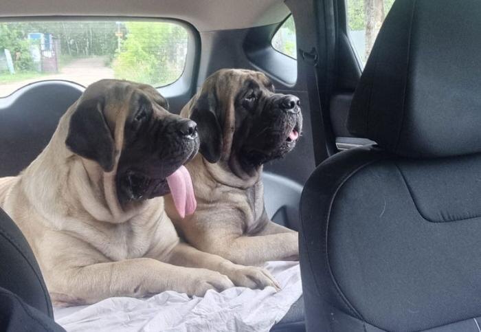     Фото: Елена Волисова