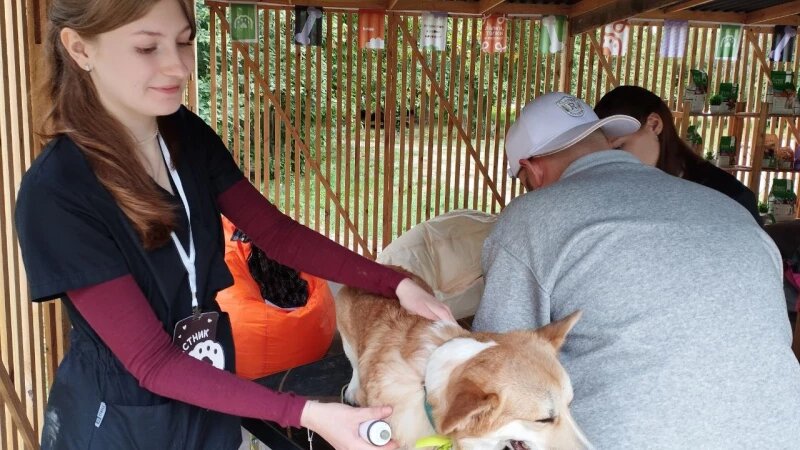     "Лапки-Тапки" Екатерина Сибекина