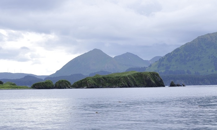    Почему Россия отказалась от Аляски и Форт-Росса и на что потратила вырученные за земли деньги?