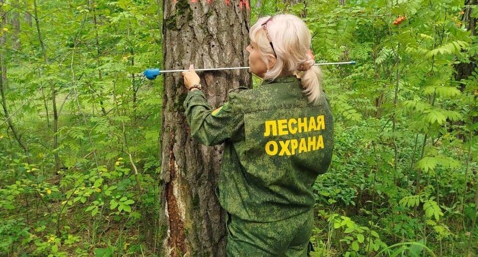    Комитет лесного хозяйства Московской области