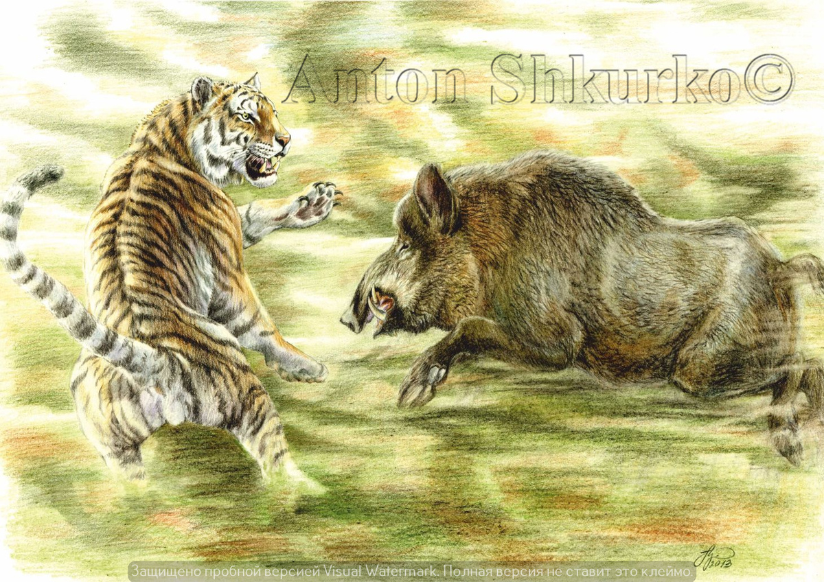 «Переломный момент» Графика. Цветной карандаш, бумага. Размер оригинала 350х460. Картина в частной галерее доктора б.н., профессора РАН  Е.В. Ивантера 