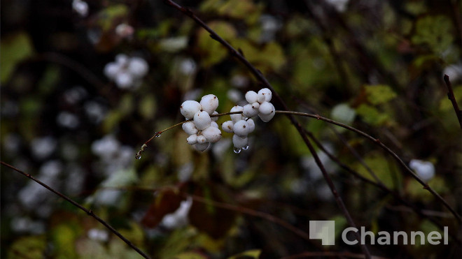 Фото: Анастасия Илюшина/47channel