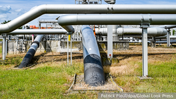     Фото: Patrick Pleul/dpa/Global Look Press   
 Текст: Вера Басилая