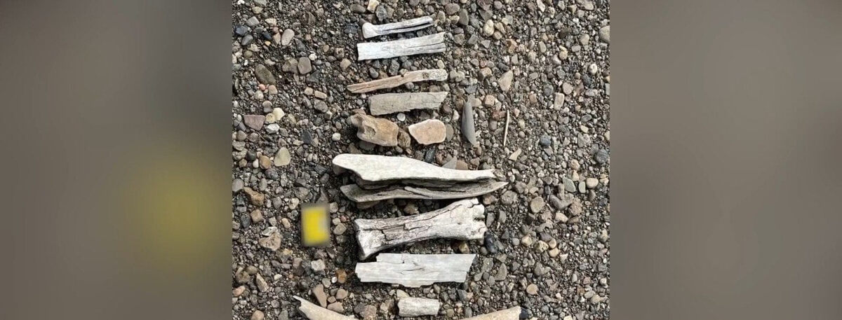     Красноярские ученые нашли в глухой тайге стоянки древних поселений