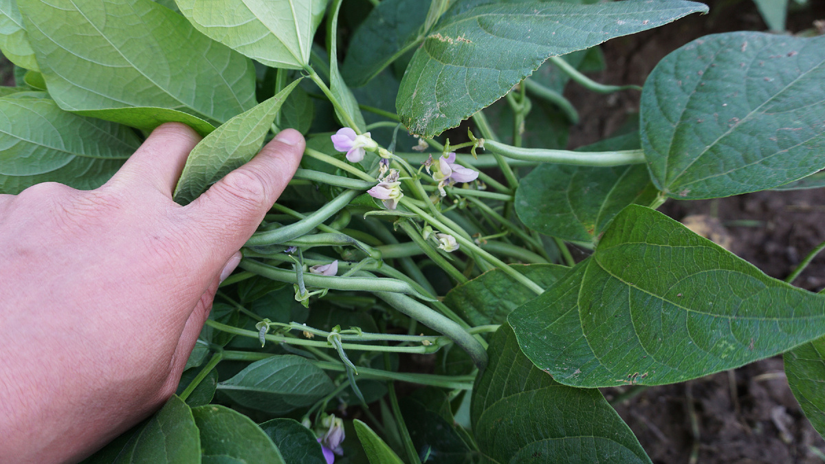 Designed by Freepik. Источник: www.freepik.com