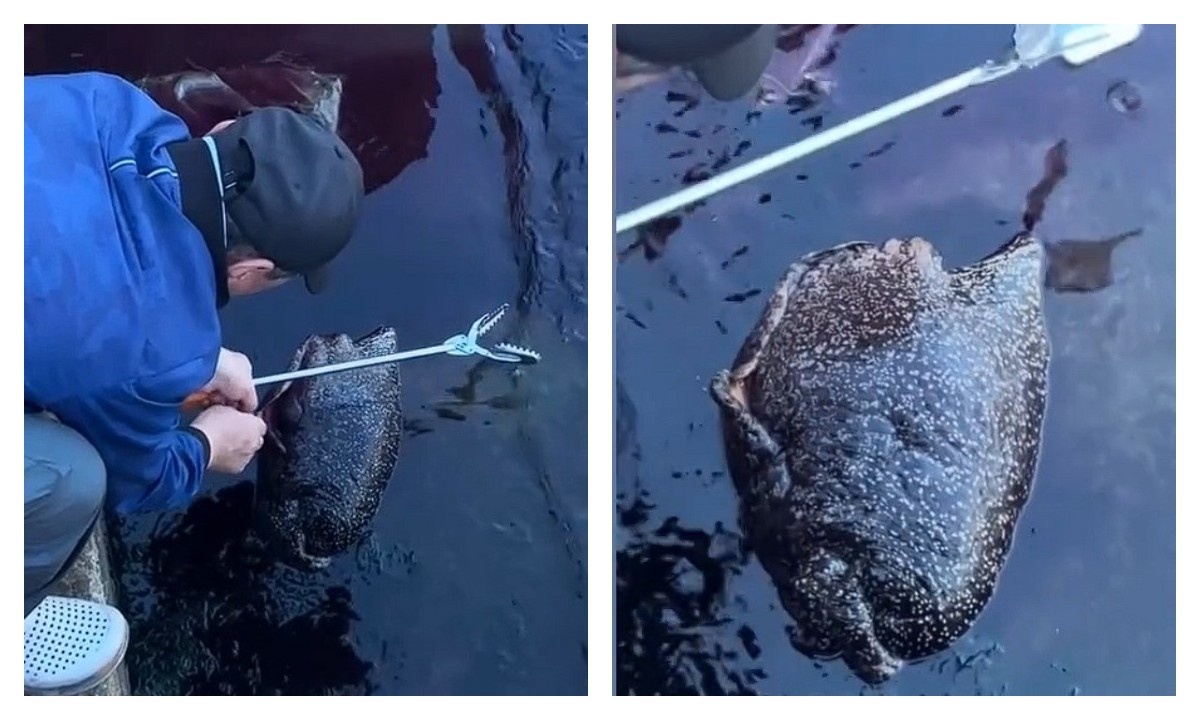    Фото: скриншот видео New York Post