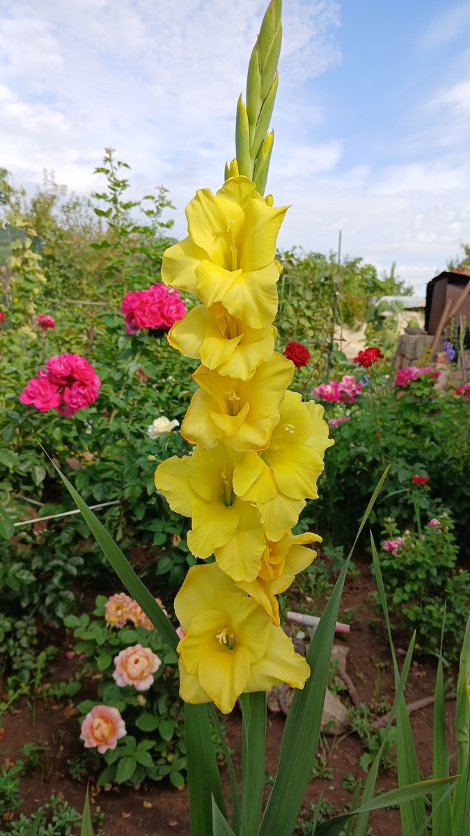 Фото автора 