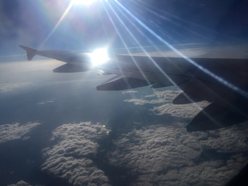    TVC.ru / Елена Скутнева