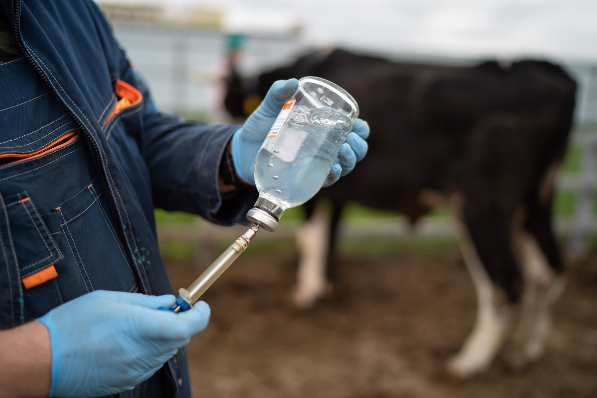 Фото: Александр Плонский / «ВиЖ»