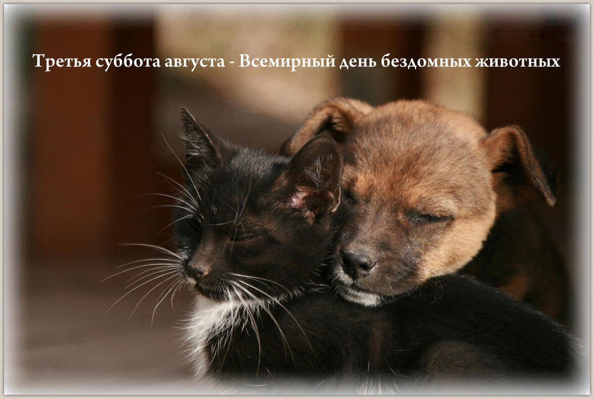 Коллаж автора. Использовано фото: 123RF/legion-media.ru