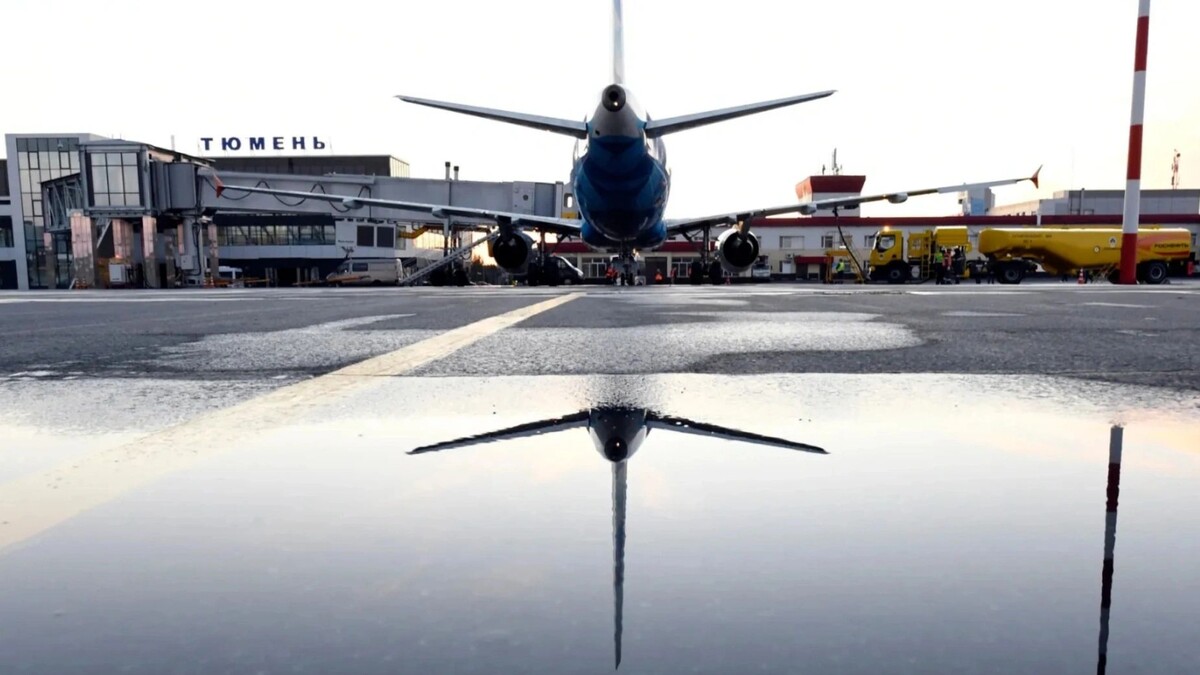    Фото: Sergey Nikonov / Shutterstock / Fotodom