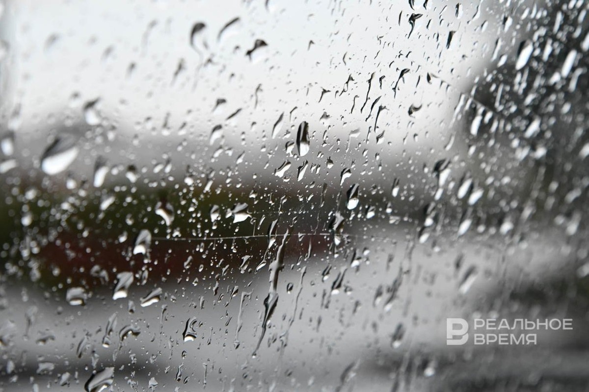   Максим Платонов / realnoevremya.ru