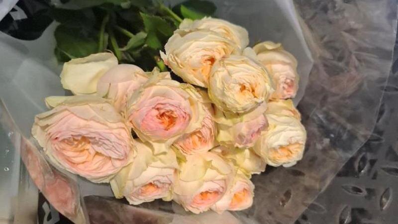    Фото: 178.fsvps.gov.ru