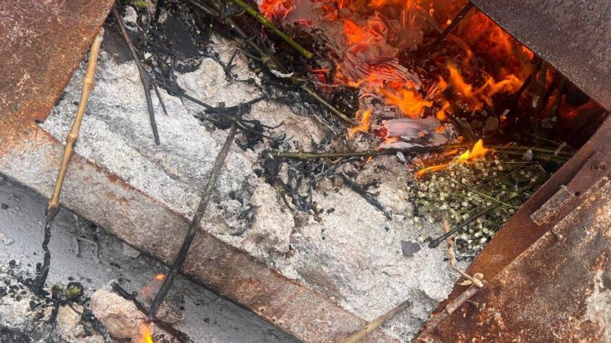    Фото: 178.fsvps.gov.ru