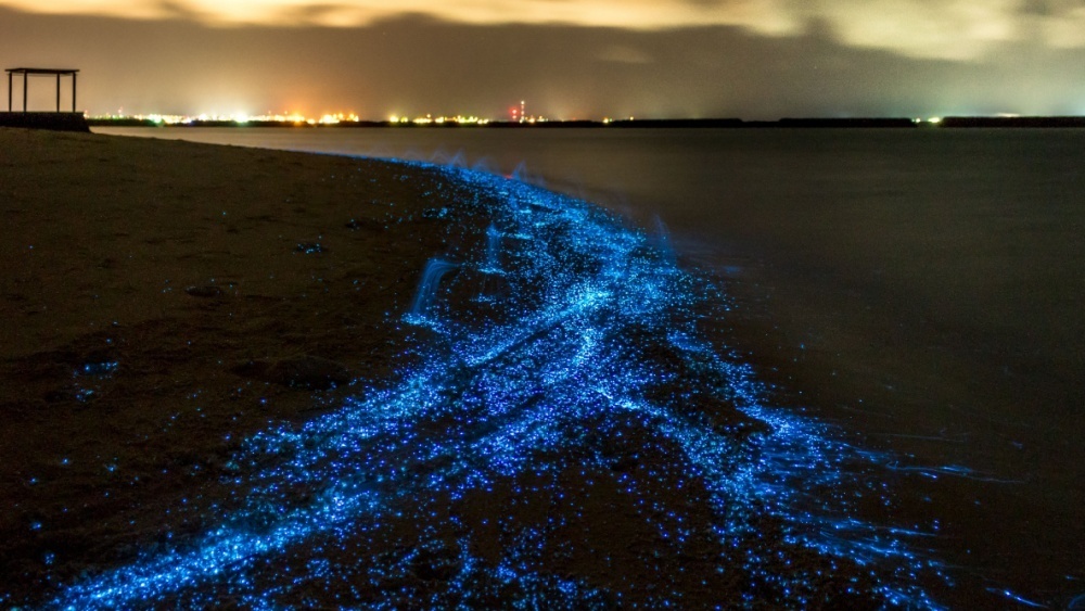     Фото: PawelG Photo/Shutterstock/FOTODOM