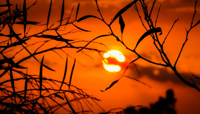 19 августа разразится геомагнитная буря, предупреждают эксперты. Фото: pxhere.com