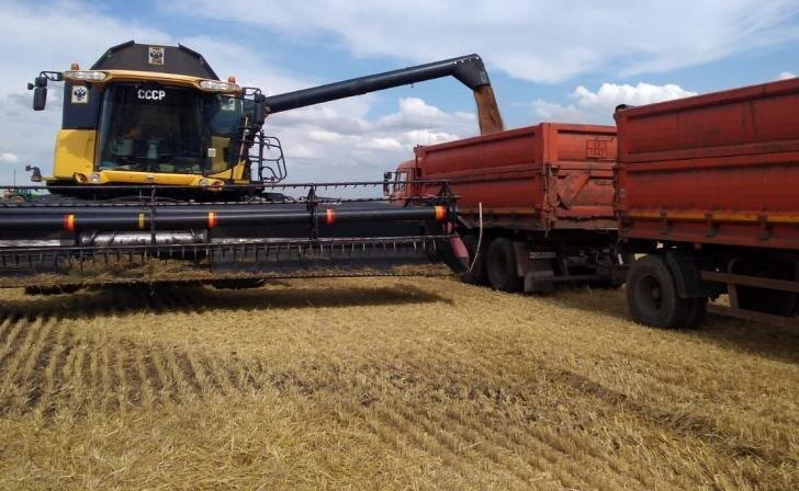    фото Курские известия