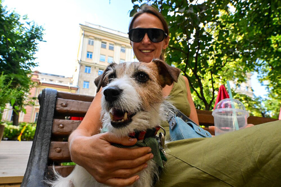    ©Агентство городских новостей "Москва"